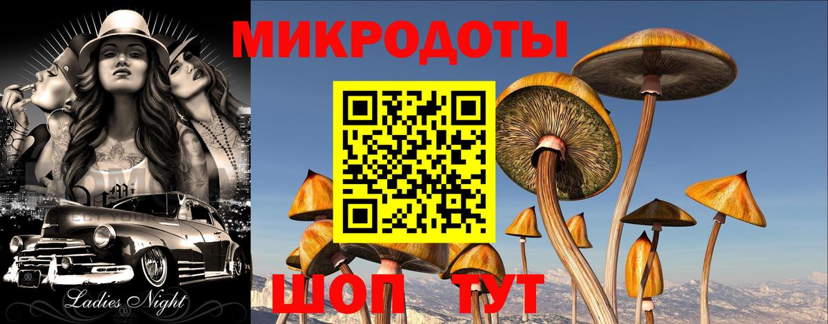 Псилоцибиновые грибы мухоморы  Галлюциногенные грибы прущие грибы  Сергиев Посад  где можно купить   Вход с VPN 